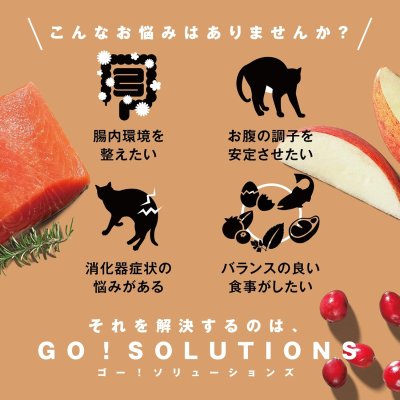 画像3: go!消化+腸の健康ケア キャットフード