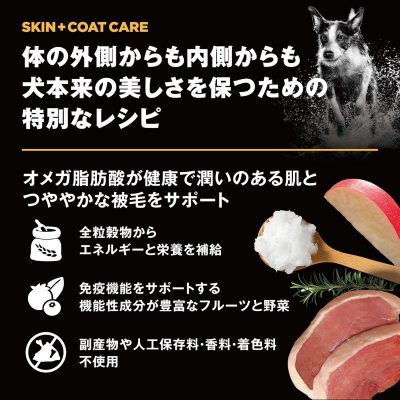 画像6: お一人様何回でもOK【無料サンプル(少量パック)(一度のご注文では5種類まで)】go!皮膚+被毛ケア ドッグフード