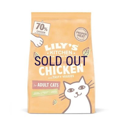 画像1: 【メーカーによる販売終売】リリーズキッチン 成猫用 チキンキャセロール