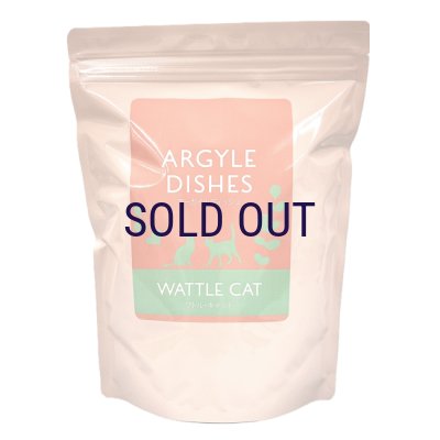 画像1: 【メーカー欠品（入荷日未定）】アーガイルディッシュ ワトル・キャット