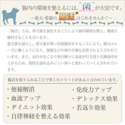 画像3: ルーシーペット キャットシチュー缶 サーモン＆チキン 70ｇ