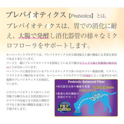 画像4: ルーシーペット キャットシチュー缶 サーモン＆チキン 70ｇ