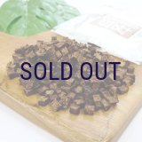 ドッグステーブル 馬肉プチキューブ 35ｇ