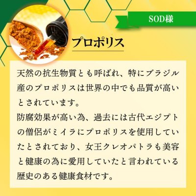 画像16: 【いつまでも若々しく元気な毎日を！】SODプロポリス ベストブレンド
