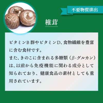 画像7: 【いつまでも若々しく元気な毎日を！】SODプロポリス ベストブレンド