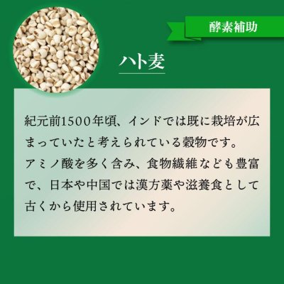 画像8: 【いつまでも若々しく元気な毎日を！】SODプロポリス ベストブレンド