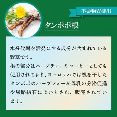 画像10: 【いつまでも若々しく元気な毎日を！】SODプロポリス ベストブレンド