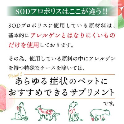 画像2: 【いつまでも若々しく元気な毎日を！】SODプロポリス ベストブレンド