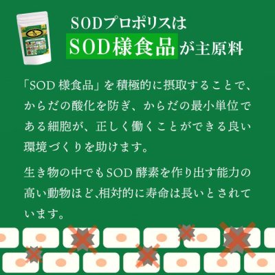 画像6: 【いつまでも若々しく元気な毎日を！】SODプロポリス ベストブレンド