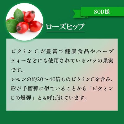 画像9: 【いつまでも若々しく元気な毎日を！】SODプロポリス ベストブレンド
