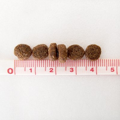 画像2: ルーシーペット キャットフード サーモン・パンプキン＆キヌア