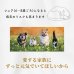 画像4: 【ずっと元気でいて欲しいから！】アニマライズ NMN×乳酸発酵ハナビラタケ