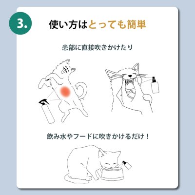 画像7: 【天然成分100% ハミガキマウスケア！全身にもOK！】TIERRA（ティエラ） 犬猫用 オーラルケア（スプレータイプ）