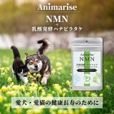 【ずっと元気でいて欲しいから！】アニマライズ NMN×乳酸発酵ハナビラタケ