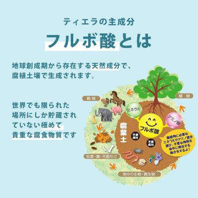 画像4: 【天然成分100% ハミガキマウスケア！全身にもOK！】TIERRA（ティエラ） 犬猫用 オーラルケア（スプレータイプ）