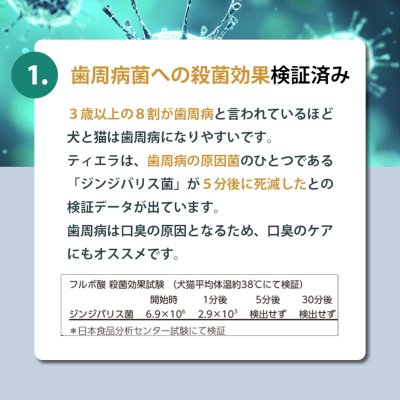 画像5: 【天然成分100% ハミガキマウスケア！全身にもOK！】TIERRA（ティエラ） 犬猫用 オーラルケア（スプレータイプ）