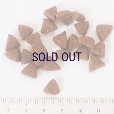 画像2: ホリスティックレセピー 猫用