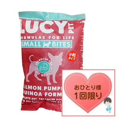 画像1: 【数量限定お試しサイズ（お一人様1回限り）】ルーシーペット ドッグフード サーモン・パンプキン＆キヌア 小粒 113ｇ