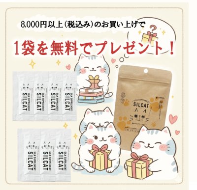 画像1: 【無料で貰える！お一人様1回限り！】腎臓ケアサプリ シルキャット 3ｇｘ7包（犬用：シルクフルと中身は同じです。）