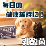 動物用乳酸菌食品H＆JIN（ジン）