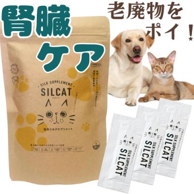 画像1: 腎臓ケアサプリ シルキャット（犬用：シルクフルと中身は同じです。）