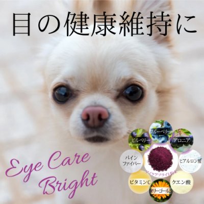 画像1: 【目の健康維持に!】 CPL アイケアブライト