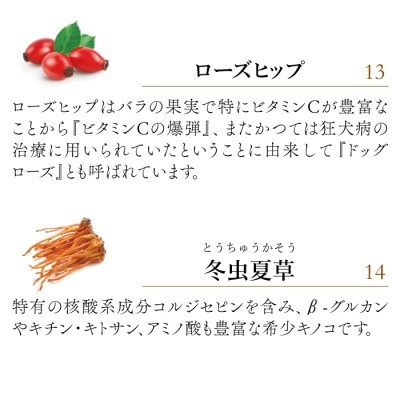 画像12: 【腫瘍や免疫機能が気になる時に！】ライフフォース（旧 CPL ジュピターハート）