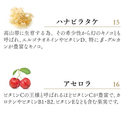 画像13: 【腫瘍や免疫機能が気になる時に！】ライフフォース（旧 CPL ジュピターハート）