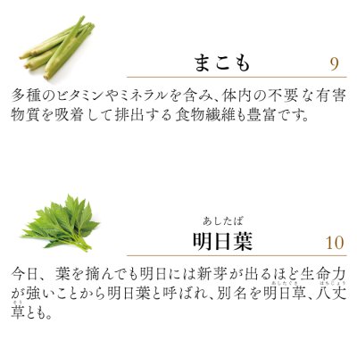 画像10: 【腫瘍や免疫機能が気になる時に！】ライフフォース（旧 CPL ジュピターハート）