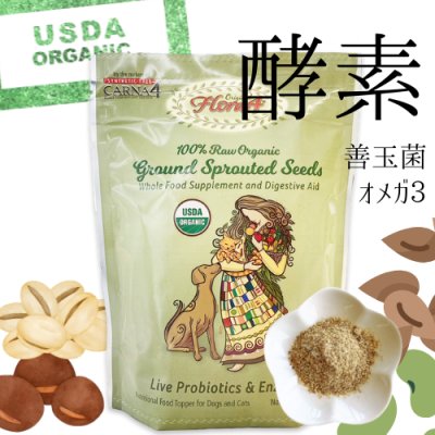 画像1: 【消化酵素・善玉菌・オメガ3脂肪酸をまとめて摂取！】FLORA4 ローフードトッパー