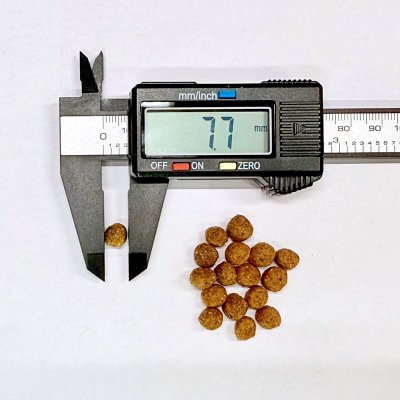 画像2: フォルツァ10（FORZA10） ドッグフード デイリープロ ラム