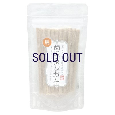 画像1: 歯にマヌカのガム 馬皮 20本入り