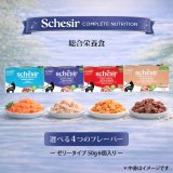 シシア ゼリータイプ 50ｇｘ6個入りパック（全4種類）