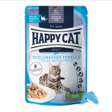 ハッピーキャット ファーム スプリングトラウト パウチ 85ｇ