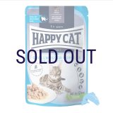 ハッピーキャット ファーム スプリングトラウト パウチ 85ｇ