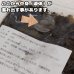 画像3: 【食べやすいペースト状の発酵食品！】発酵菜果ペースト 250ｇ (3)