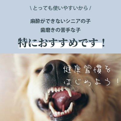 画像11: 【天然成分100% ハミガキマウスケア！全身にもOK！】ティエラ 犬猫用 オーラルケア（スプレータイプ）