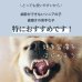 画像11: 【天然成分100% ハミガキマウスケア！全身にもOK！】ティエラ 犬猫用 オーラルケア（スプレータイプ） (11)