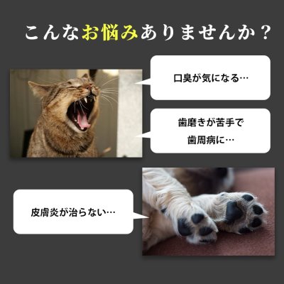 画像10: 【天然成分100% ハミガキマウスケア！全身にもOK！】ティエラ 犬猫用 オーラルケア（スプレータイプ）