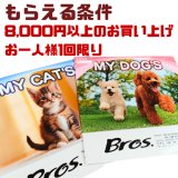 Bros.オリジナル2027年カレンダー