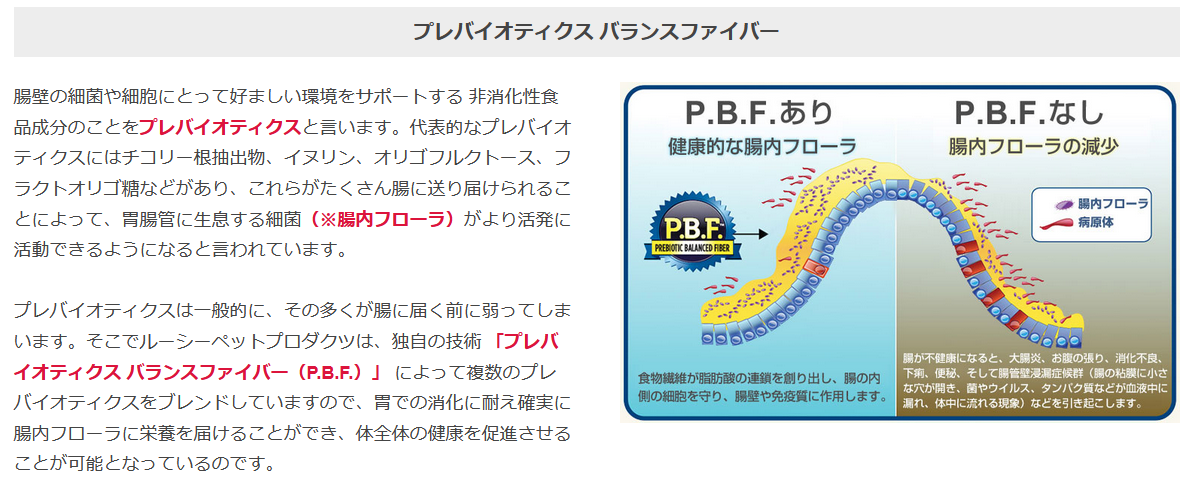 ルーシーペットトップ2