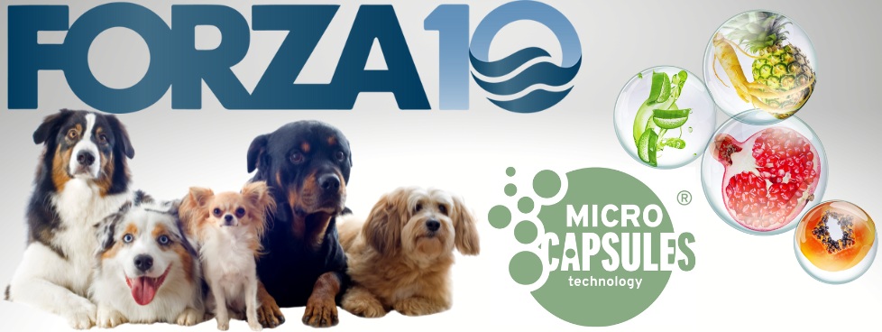 フォルツァ10 デイリープロ