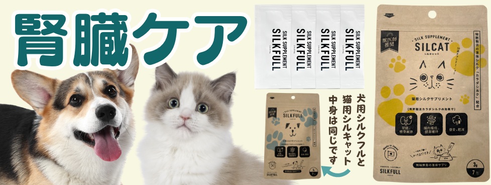 シルキャット