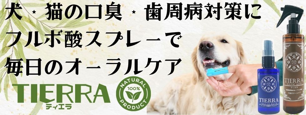ティエラ