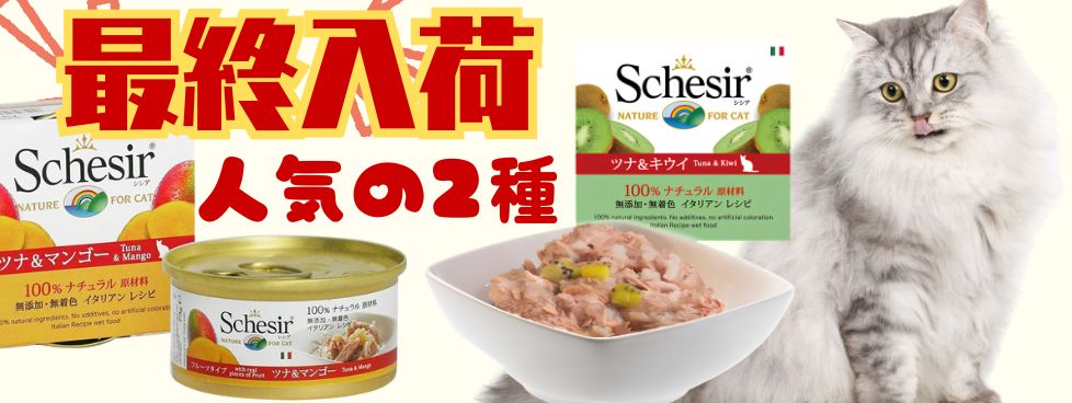 シシアキャット