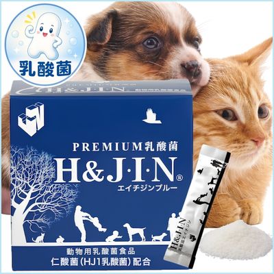 乳酸菌H&JIN