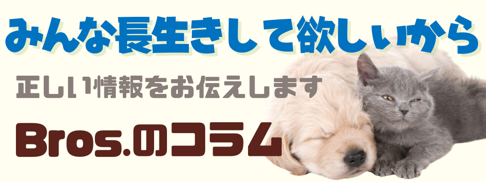 コラム