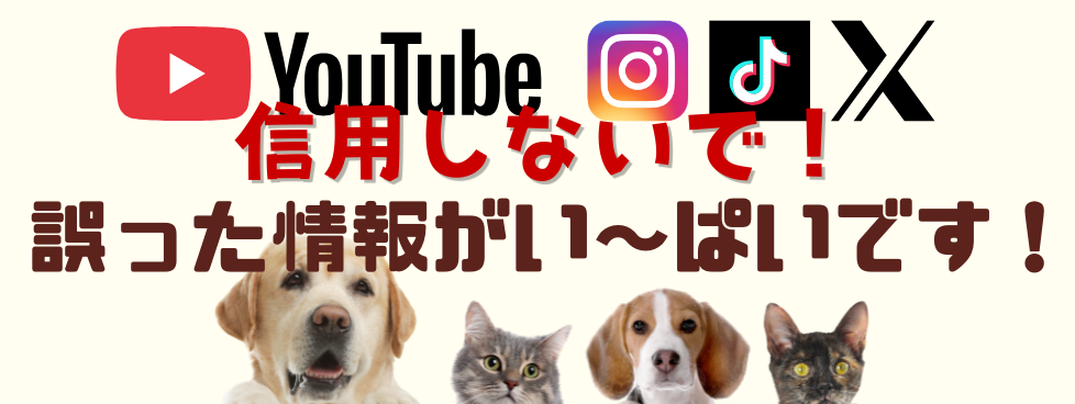 コラムトップ