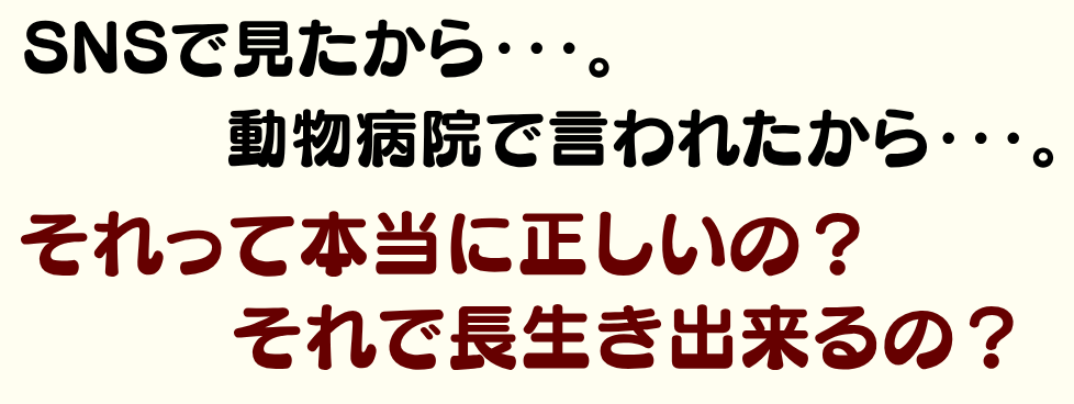 コラムトップ