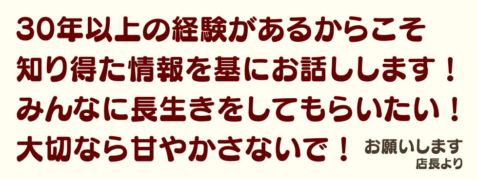 コラムトップ